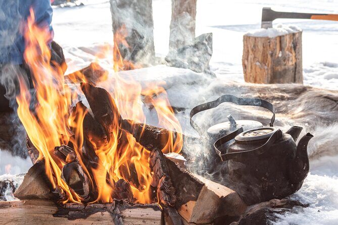 Lapland Winter Experience - Timing and Day Planning: The 12:30 Start (and Other Options)