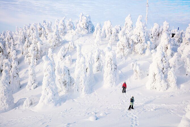 Lapland Winter Experience - Who This Tour Fits Best (and Who Might Want a Different Option)