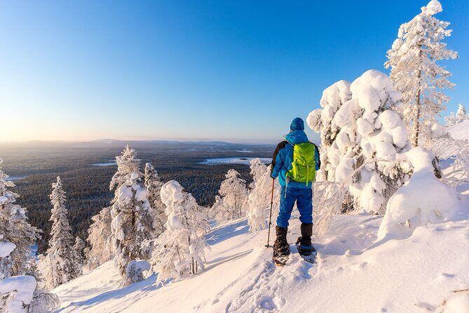 Lapland Winter Experience - Should You Book the Lapland Winter Experience?