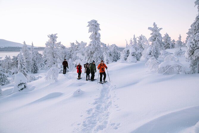 Lapland Winter Experience - Snowshoe Hiking Through Powder: What the 3 Hours Actually Feels Like