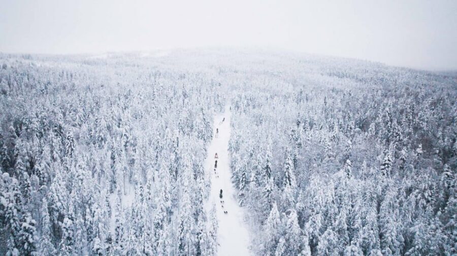 Levi: 15-Kilometres Self-Driving Husky Tour - Getting picked up in Levi: meeting points and timing that matter