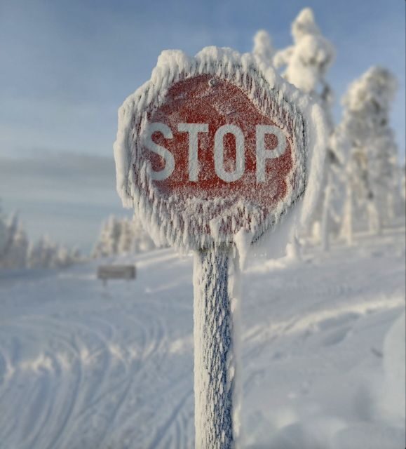 Levi: 4 Hour Snowmobile Safari to the Fells in Levi - Speed, controls, and what to expect if you want thrill vs calm