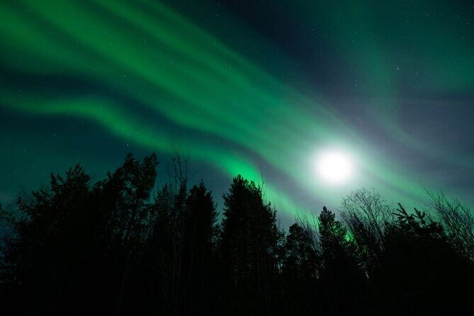 Levi: Aurora Borealis Tour and Stargazing Experience - Comfort, Clothing, and the Optional Snowshoe Walk