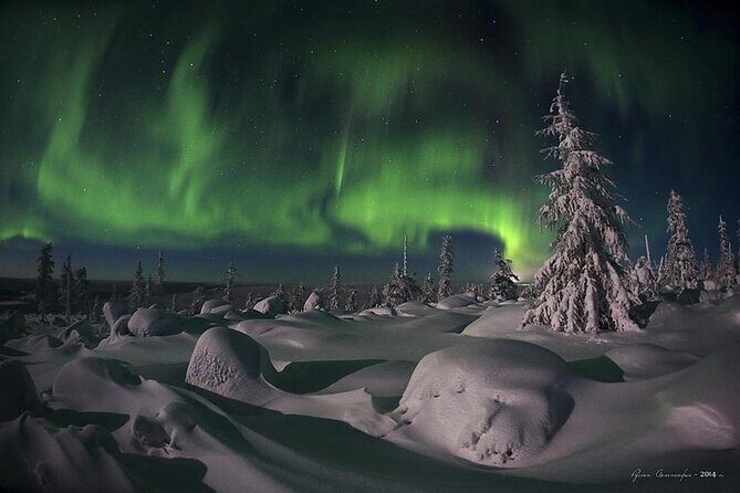 Levi: Aurora Borealis Tour and Stargazing Experience - Price and Value: What You’re Paying For at $131.25