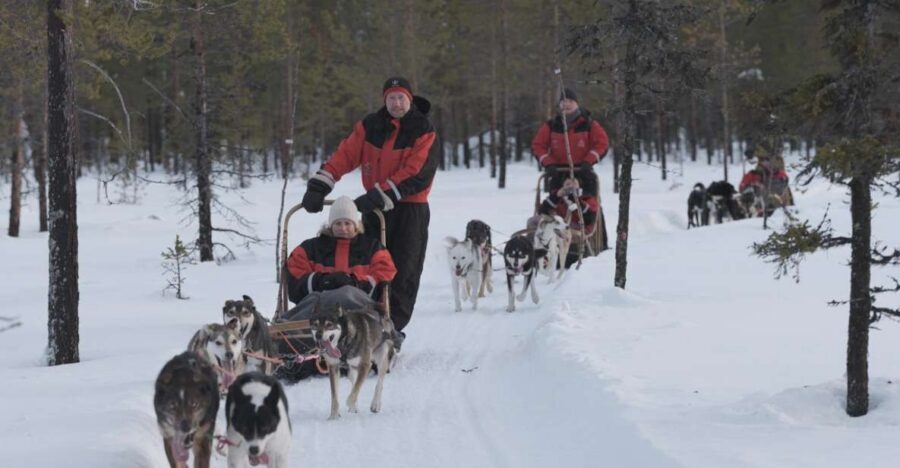 Levi: Evening Husky Sled Ride under the Northern Lights - Key things I’d watch for before you go