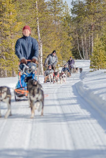 Levi: Evening Husky Sled Ride under the Northern Lights - Safety briefing first: how the ride is paced