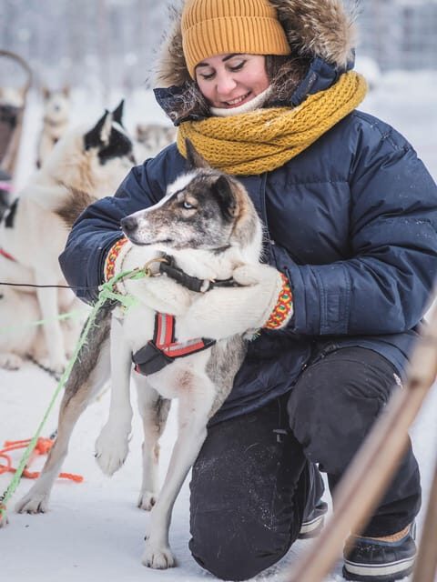 Levi: Guide-driven Husky Safari - The husky safari in Lapland: sitting back while the guide drives