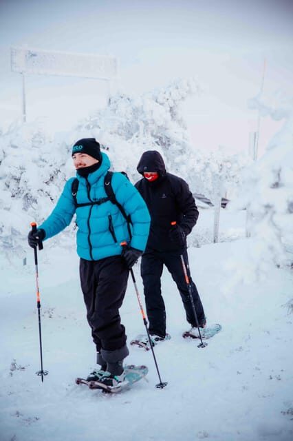 Levi: Guided Snowshoeing Adventure - Key highlights worth your attention