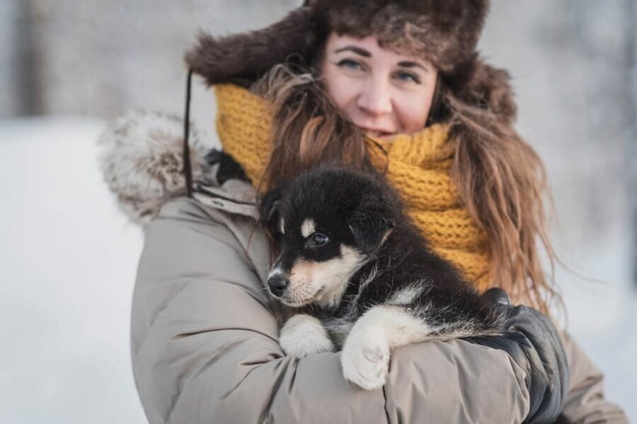 Levi: Horse and Husky Farm Visit with Juice and Cookies - Key highlights worth planning for