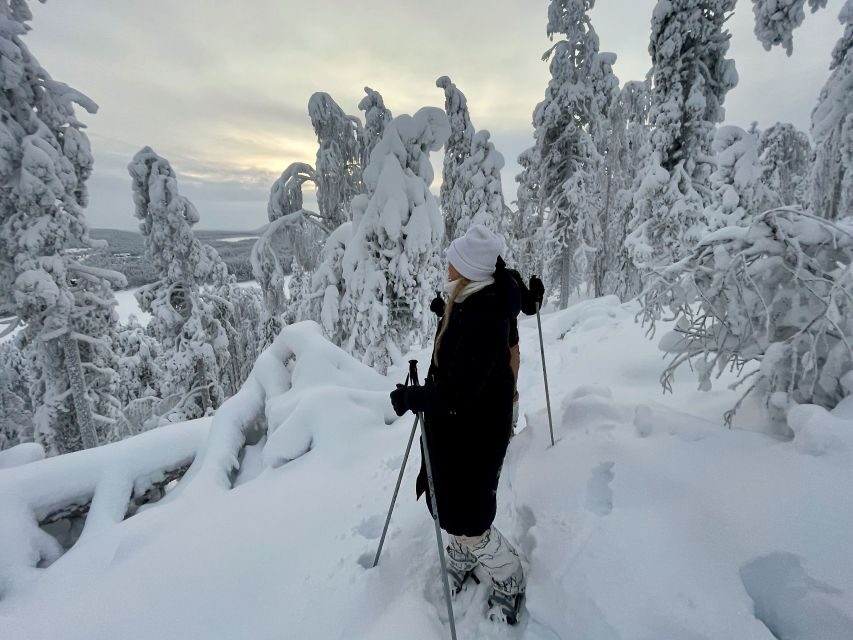 Levi: Lakeside forest snowshoeing - How much this costs (and why it can be good value)