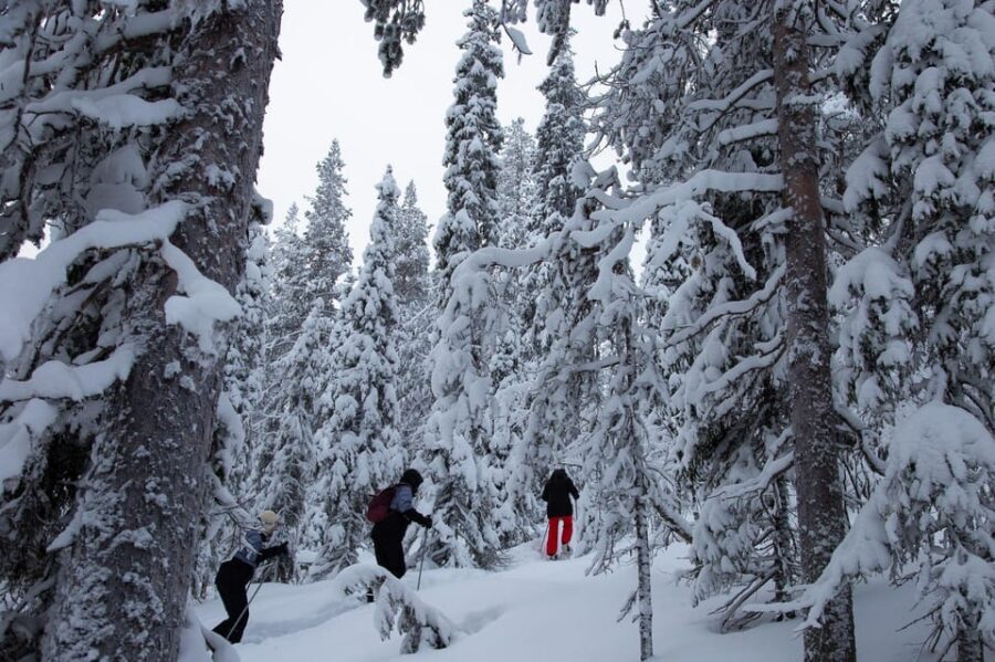 Levi: Lakeside forest snowshoeing - Snowshoe gear: what you get and how to move on deep snow
