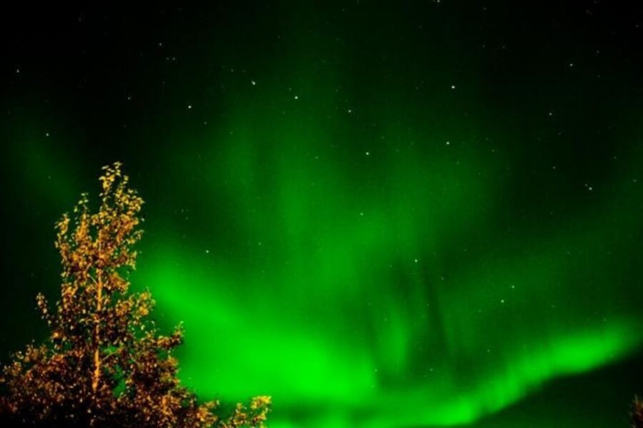 Levi: Northern Lights Hunt Including Campfire Snacks - Northern Lights odds: what you’re really paying for