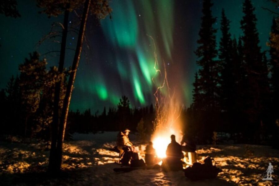 Levi: Northern Lights Hunt Including Campfire Snacks - Price and value: is $153 per person fair?
