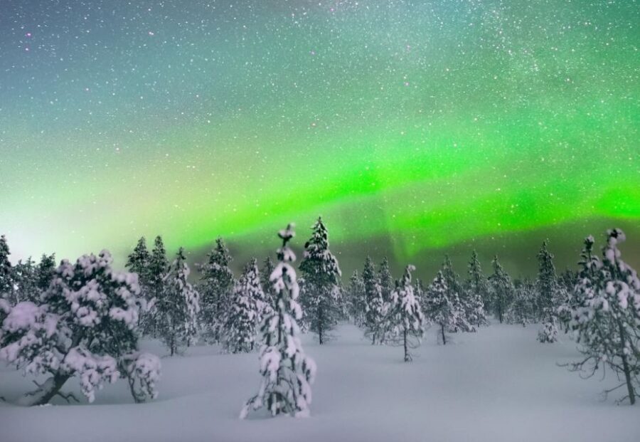 Levi: Northern Lights Snowmobile Tour with Snacks and Drinks - Van Transfer: A Short Ride That Sets Expectations
