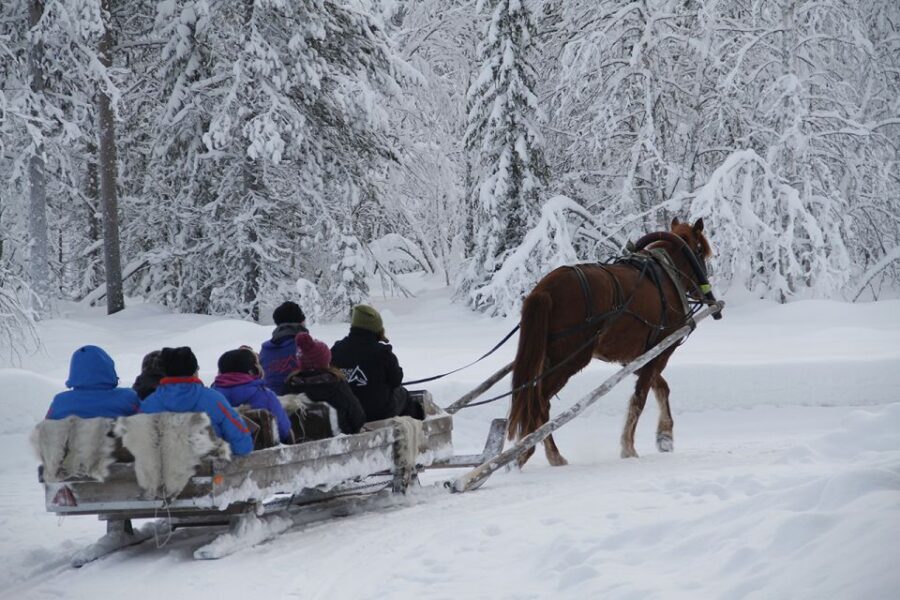 Levi, Polar Lights Tours: One Horse Open Sleigh Ride - Key Points to Know Before You Go