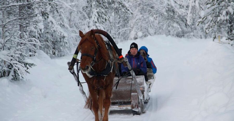 Levi, Polar Lights Tours: One Horse Open Sleigh Ride - The Coach Ride and Safety Briefing: Short, Clear, Worth It