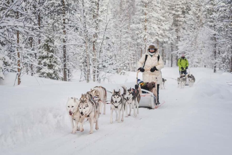 Levi Polar Lights Tours: Path of the Gnome Husky Safari 15km - From Levi Center to the farm: how the experience starts