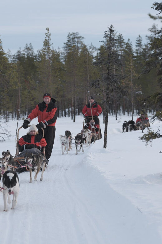 Levi Polar Lights Tours: Path of the Gnome Husky Safari 15km - The 15–18 km safari and swapping driver seats