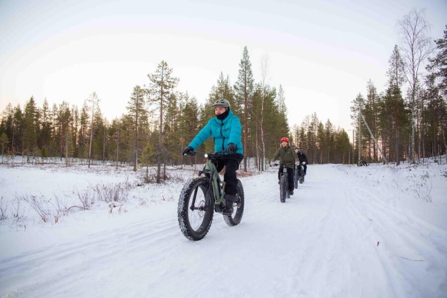 Levi: Reindeer Farm E-Fatbike Safari - Key Highlights You’ll Actually Care About