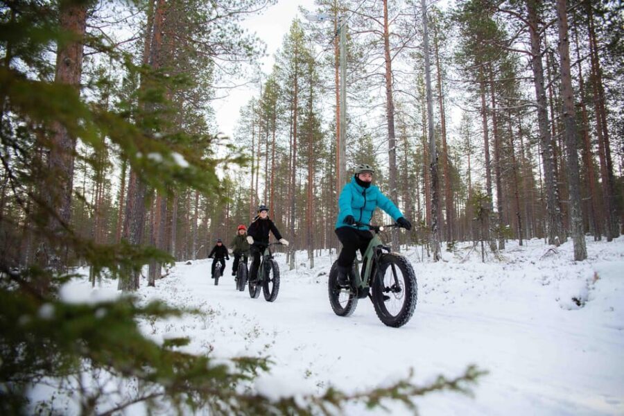 Levi: Reindeer Farm E-Fatbike Safari - E-Fatbike Riding on Snow Fells: Glide Time with Real Conditions