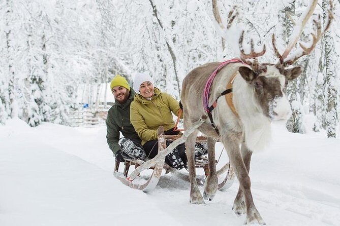 Levi Reindeer Safari - Long or Quick - with Sledge Ride - Who Should Book This Levi Reindeer Safari?