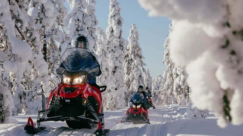 Levi: Snowmobile Safari to the Levi Nature - Planning your Levi winter: what this snowmobile safari actually delivers