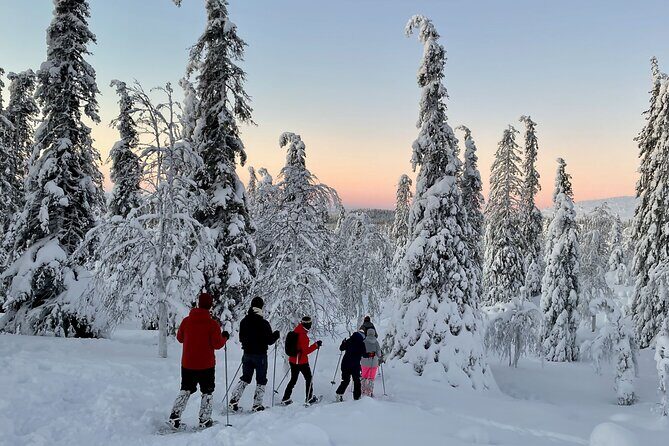 Levi: Snowshoeing adventure in the National Park - Key highlights you’ll care about
