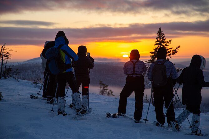 Levi: Snowshoeing adventure in the National Park - Why Pallas-Yllästunturi snow feels special around Levi