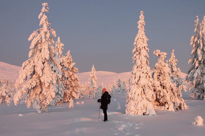 Levi: Snowshoeing adventure in the National Park - Snowshoeing in deep snow: what to expect and how to pace yourself