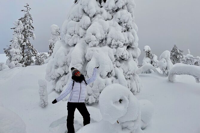 Levi: Snowshoeing adventure in the National Park - The hut lunch by the campfire: warm food, warm people, warm hands