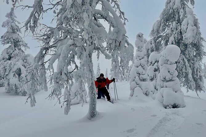 Levi: Snowshoeing adventure in the National Park - Who this tour fits best in your winter plans