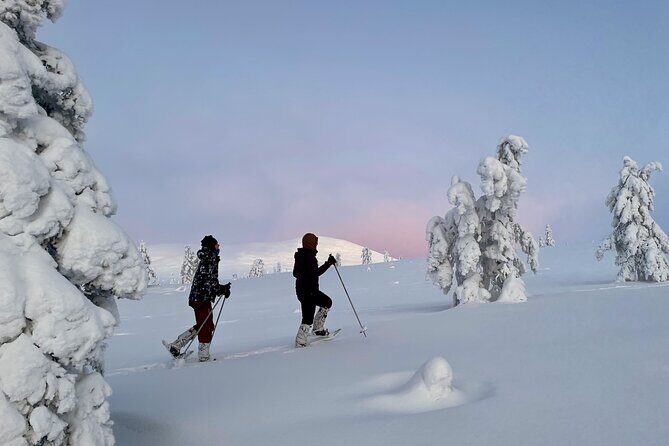 Levi: Snowshoeing adventure in the National Park - Weather and day-of planning in Lapland winter time