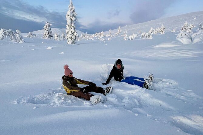 Levi: Snowshoeing adventure in the National Park - From Levi Tourist Office to the park: timing that keeps it enjoyable