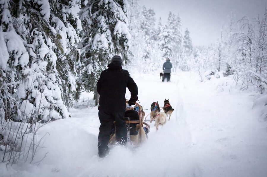 Levi: Winter Highlights Family Day - First Step in Levi: Pickup, Warm Gear, and Getting Ready