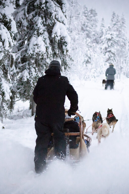 Levi: Winter Highlights Family Day - Price and Value for $234 Per Person
