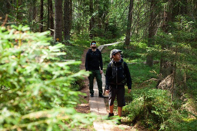 Magical Taiga Forest Hike with Lunch and Transportation - Kiasma pickup at 9:00: the easiest Helsinki start you can get