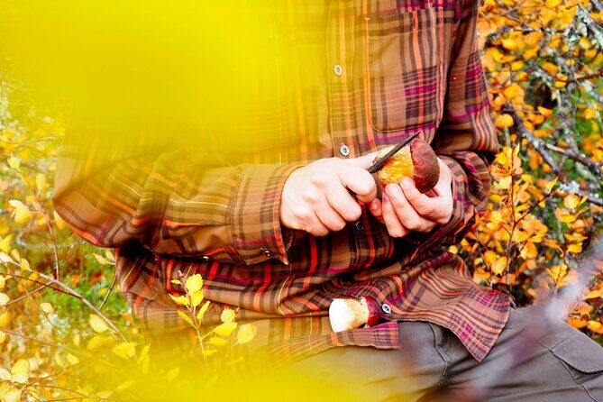 Mushroom Hunting in a National Park - Forest foraging in Liesjärvi: what your guide actually does