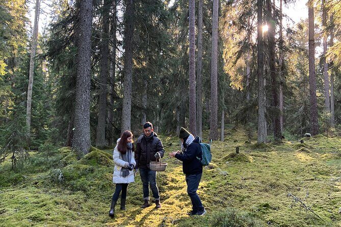 Mushroom Hunting in a National Park - The campfire lunch: turning finds into a Finnish meal