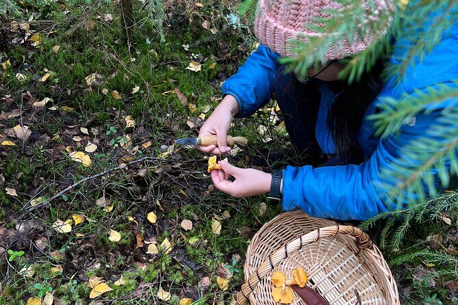 Mushroom Hunting in a National Park - What to pack and how to stay warm in the Finnish woods
