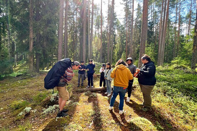 Mushroom Hunting in a National Park - Sustainability in Finland: why the label matters here