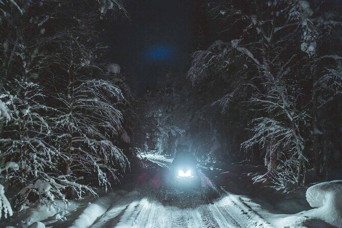 Night Snowmobile Safari, Rovaniemi - Group Size and the Social Side of the Tour