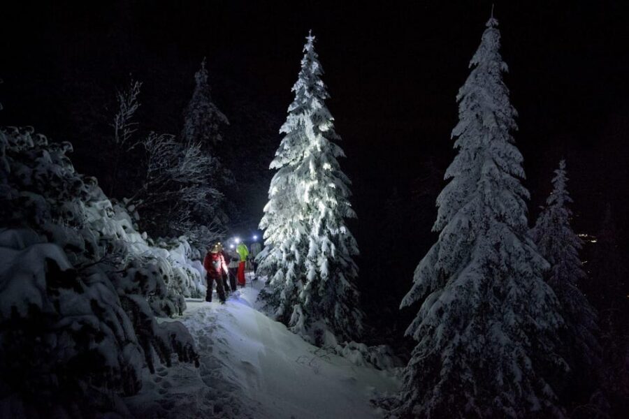 Night Snowshoeing Lapland Experience - Gear and comfort: snowshoes are included, warm drink helps a lot
