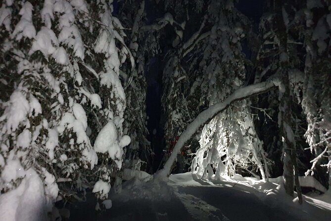 Nocturnal Skiing: Experience the Arctic's Magic - Starting at a Family Cabin: Skis, Headlamps, and Your First Moves
