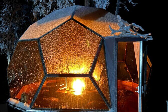 Northern Lights dinner in a Glass Igloo - Dinner in a Glass Igloo: What Makes This Night Different in Rovaniemi