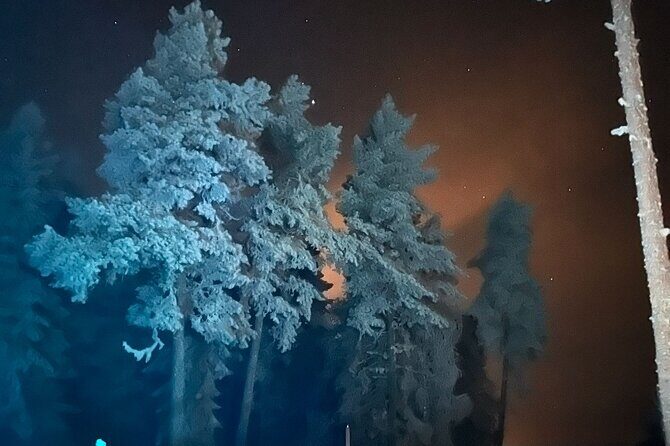 Northern Lights dinner in a Glass Igloo - Snowmobile Ride After Dinner: Why This Program Keeps People Smiling