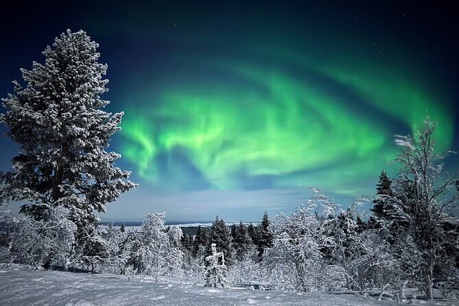 Northern Lights Holiday in Finland - Inari reindeer farm, open-fire lunch, and Sámi Museum Siida