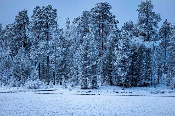 Northern Lights Holiday in Finland - Guided winter trek, wilderness hut lunch, and sauna to end the day