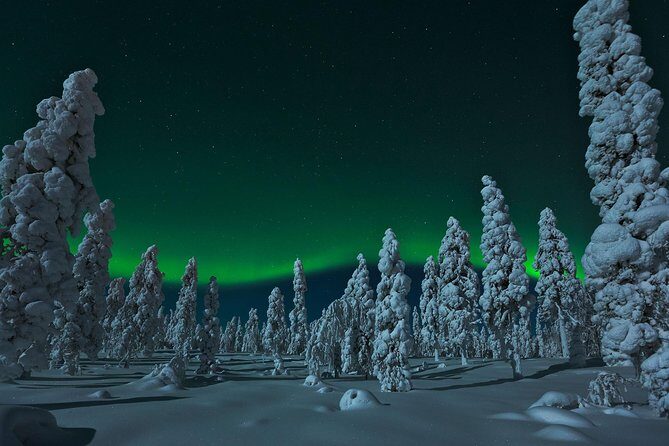 Northern Lights Hunt from Rovaniemi with Folk Tales and Snacks over Campfire - A 9:30 pm Aurora Night, Built for Darkness