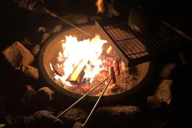Northern Lights Hunt Including Snacks on Campfire from Levi - Small-group pacing: Lapland outside the city