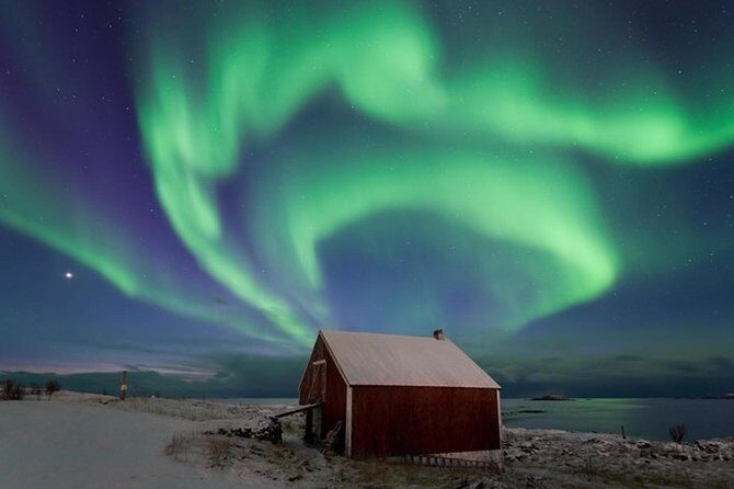 Northern Lights Hunt Including Snacks on Campfire from Levi - Hotel transfers and national park fees: value you feel on the ground